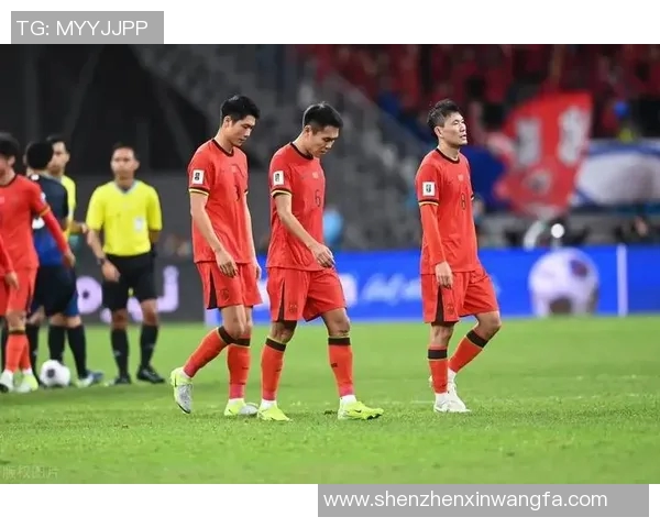 中国足球的璀璨星空十大足球明星背后的故事与成就揭秘